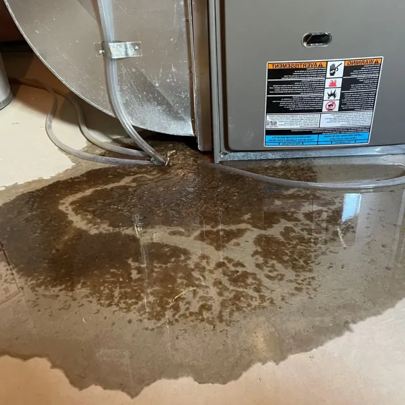 Pipe Burst and Leak Restoration in Winneconne, WI